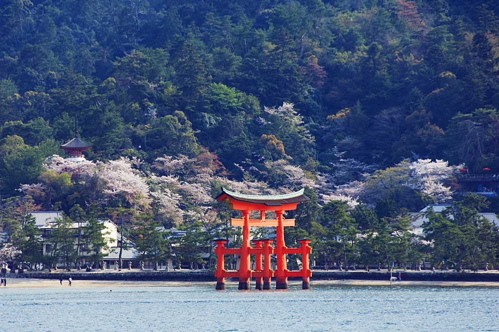 Floating torii gate, Itsukushima Jinja shrine, Miyajima island, UNESCO World Heritage Site, Honshu Island, Japan, Asia