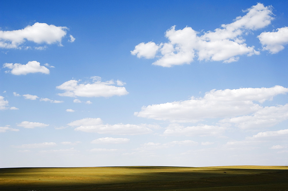 Xilamuren grasslands, Inner Mongolia province, China, Asia