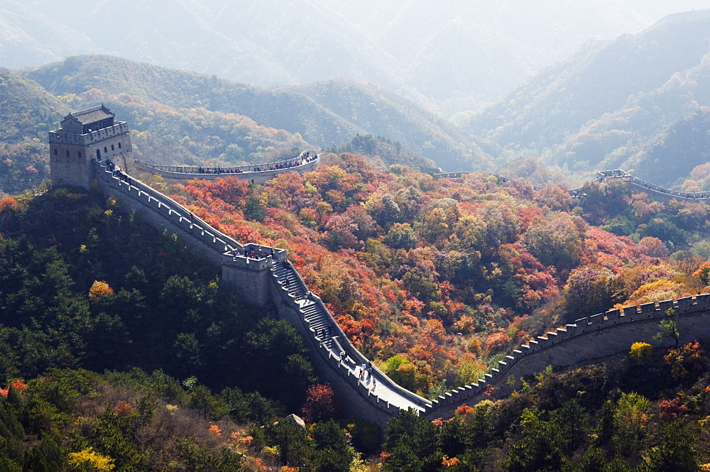 Autumn colours and a watch tower on The Great Wall of China, UNESCO World Heritage Site, Badaling, China, Asia