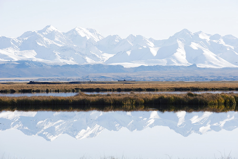 Snow mountains reflected in a lake, Bayanbulak, Xinjiang Province, China, Asia