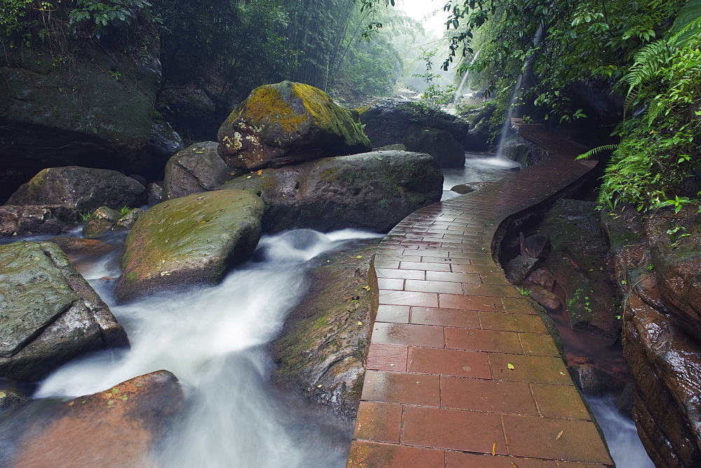 A forest river in the Sidonggou Nature Reserve near Chushui, Guizhou Province, China, Asia