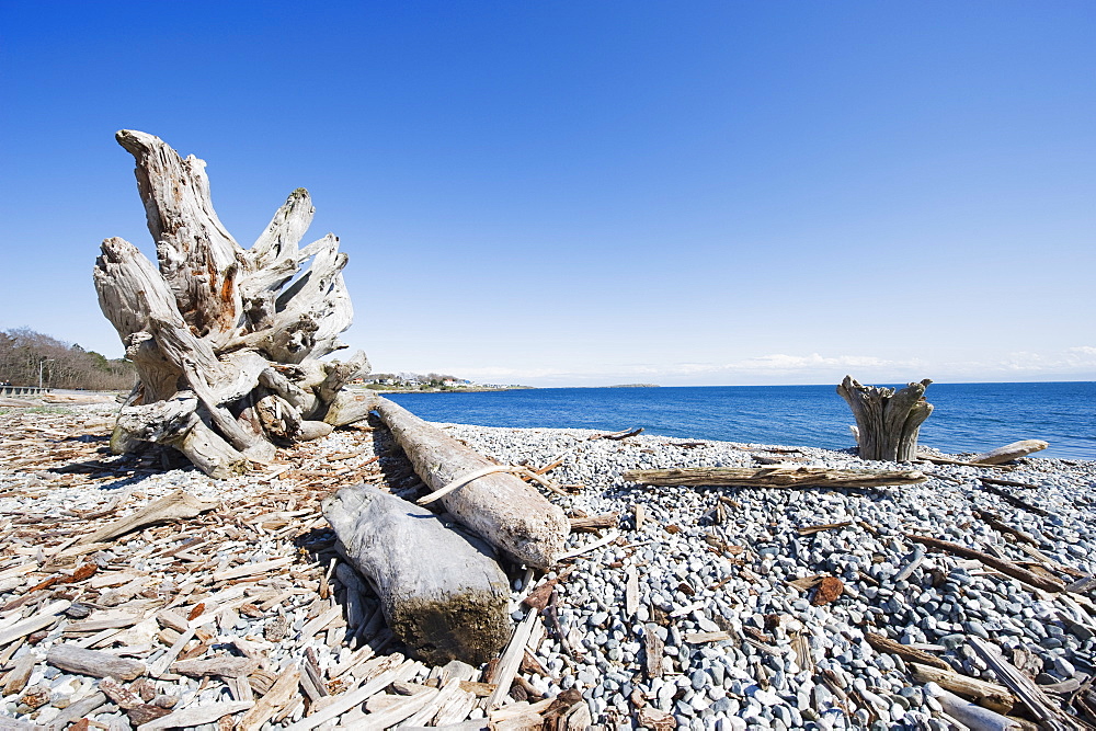 A beach on the Strait of Juan de Fuca, Victoria, Vancouver Island, British Columbia, Canada, North America