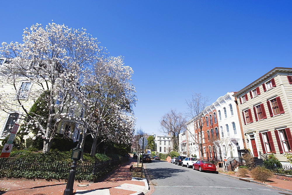 Georgetown district, Washington D.C., United States of America, North America