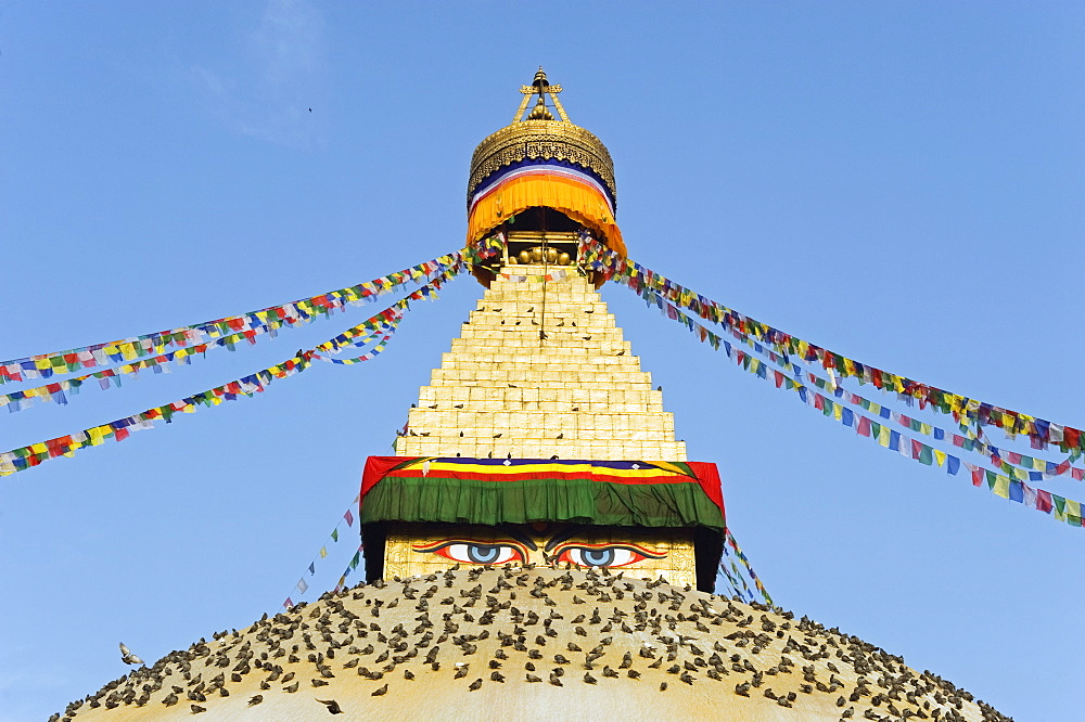 Pigeons and prayer flags on Boudha Stupa (Chorten Chempo), Boudhanath, Kathmandu, Nepal, Asia