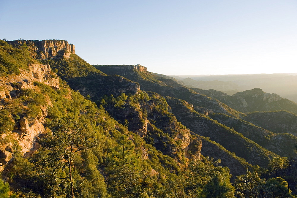 Sunrise in Barranca del Cobre (Copper Canyon), Chihuahua state, Mexico, North America