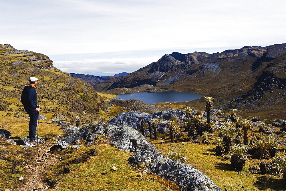 Hiker near Laguna Grande del los Verde, El Cocuy National Park, Colombia, South America