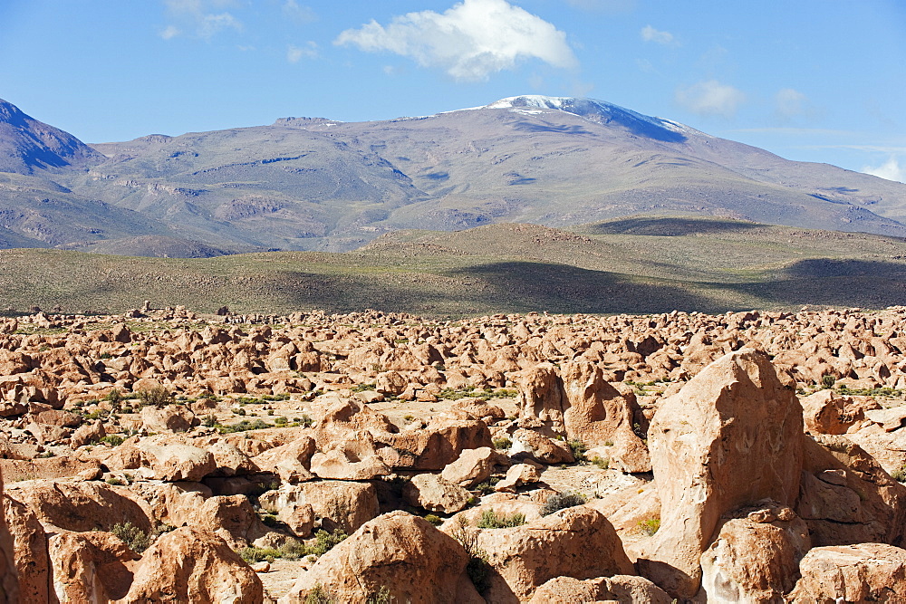 Rock formations in the Altiplano desert, Bolivia, South America