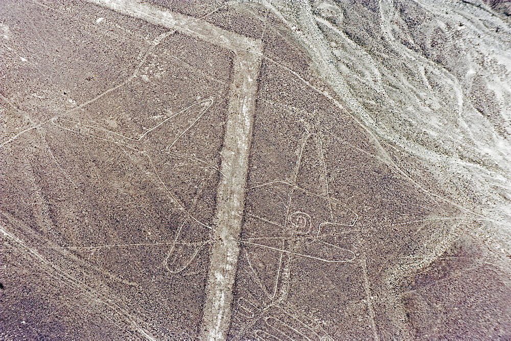 Whale, Lines and Geoglyphs of Nasca, UNESCO World Heritage Site, Peru, South America