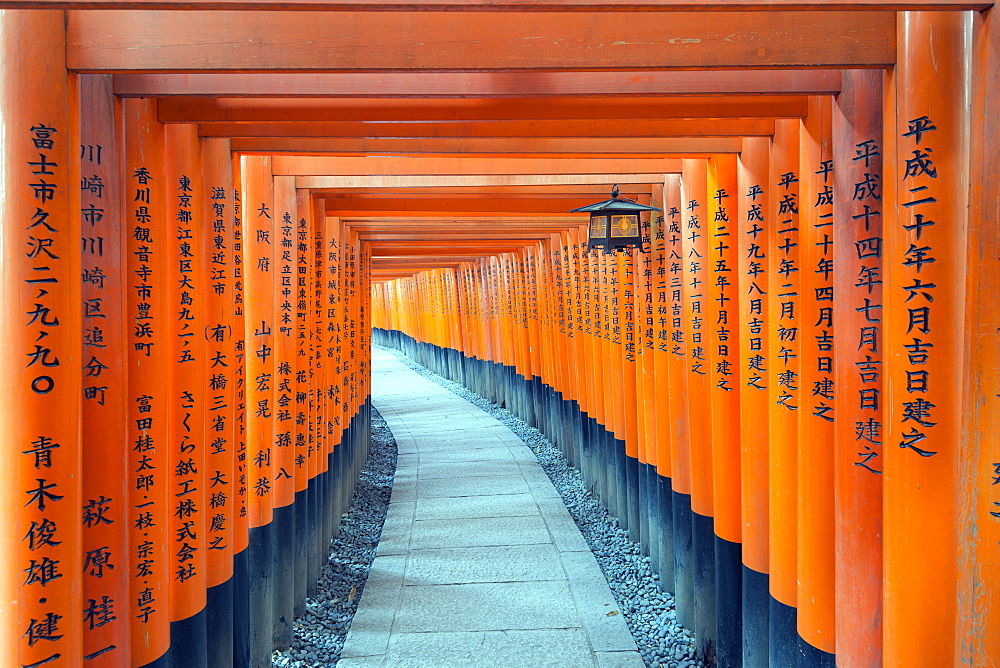 Torii gate at Fushimi Inari Jinja, Shinto shrine, UNESCO World Heritage Site, Kyoto, Honshu, Japan, Asia