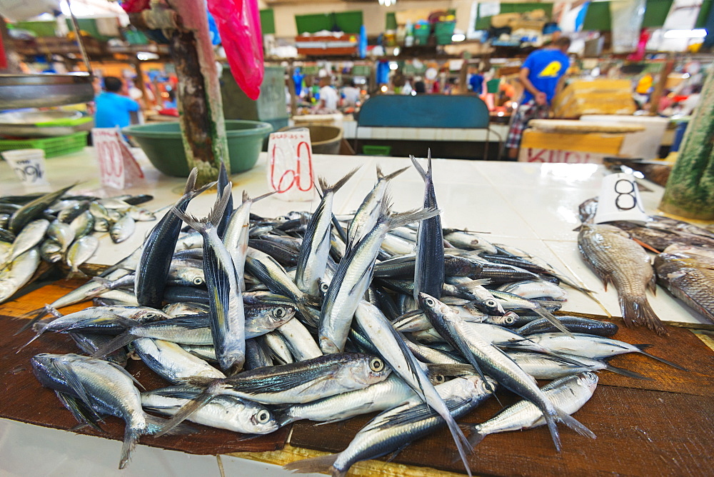 Fish for sale at the public market, Dumaguete, Cebu, The Visayas, Philippines, Southeast Asia, Asia