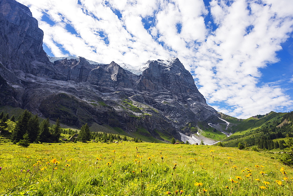 Wetterhorn 3692m, Jungfrau-Aletsch, UNESCO World Heritage Site, Swiss Alps, Switzerland, Europe