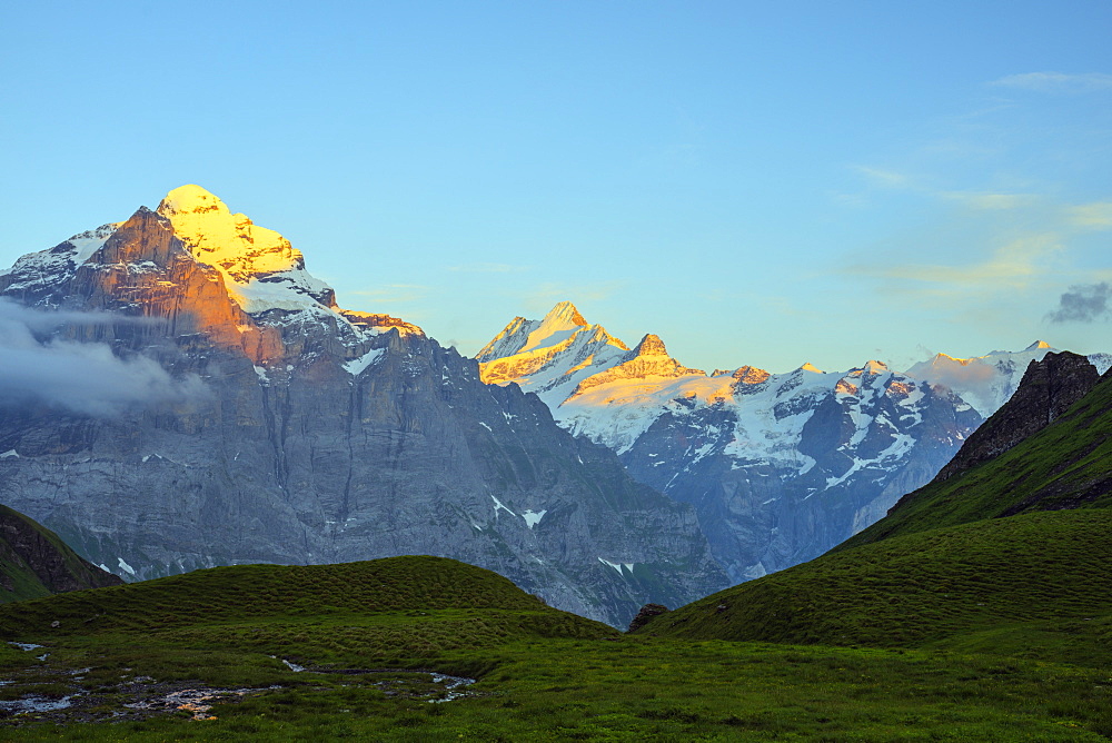 Wetterhorn 3692m, Jungfrau-Aletsch, UNESCO World Heritage Site, Swiss Alps, Switzerland, Europe