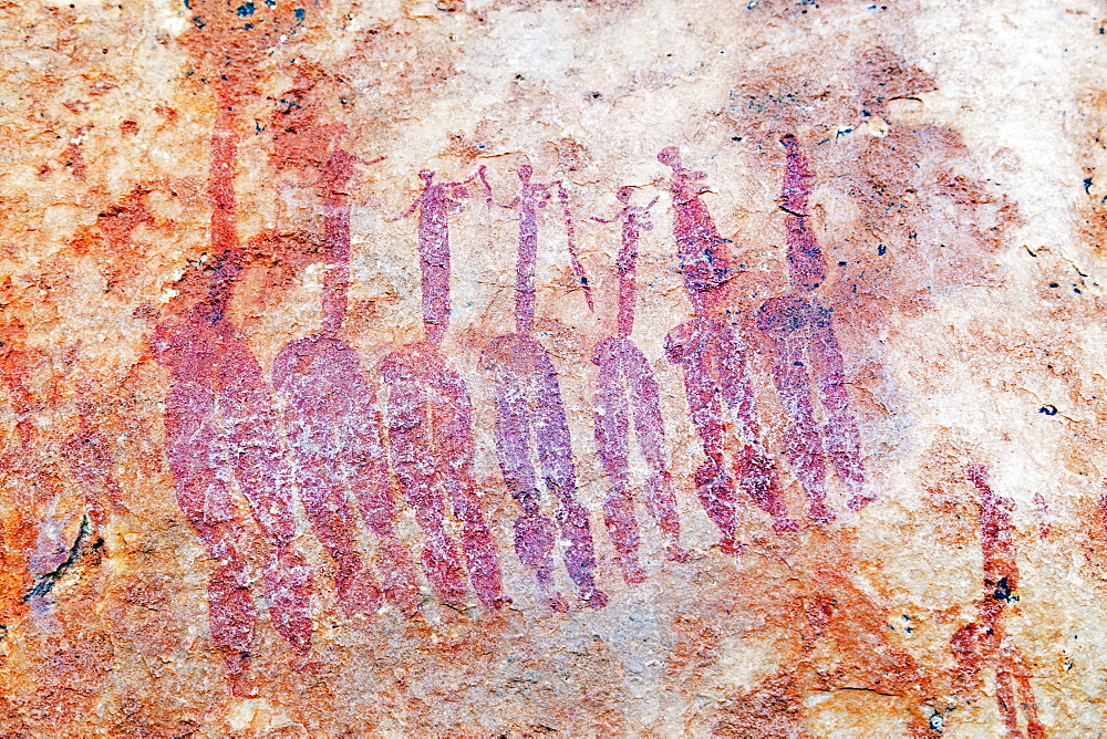 San rock art on the Sevilla Rock Art Trail, Cederberg Wilderness Area, Western Cape, South Africa, Africa