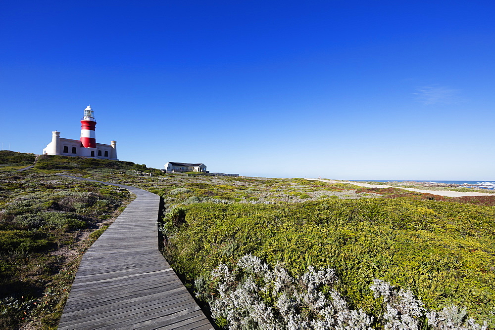 Agulhas lighthouse at southernmost tip of Africa, Agulhas National Park, Western Cape, South Africa, Africa