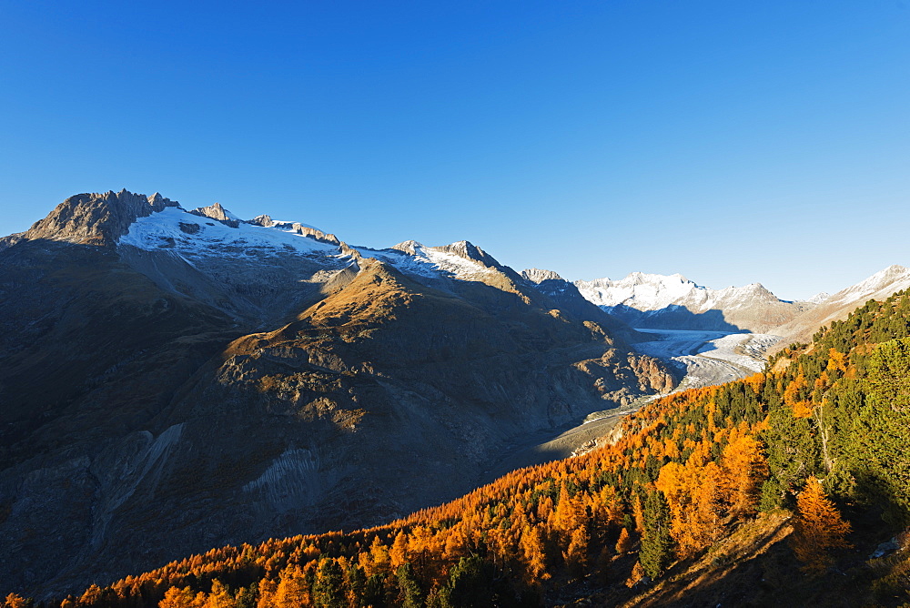 Aletsch Glacier, Jungfrau-Aletsch, UNESCO World Heritage Site, Valais, Swiss Alps, Switzerland, Europe