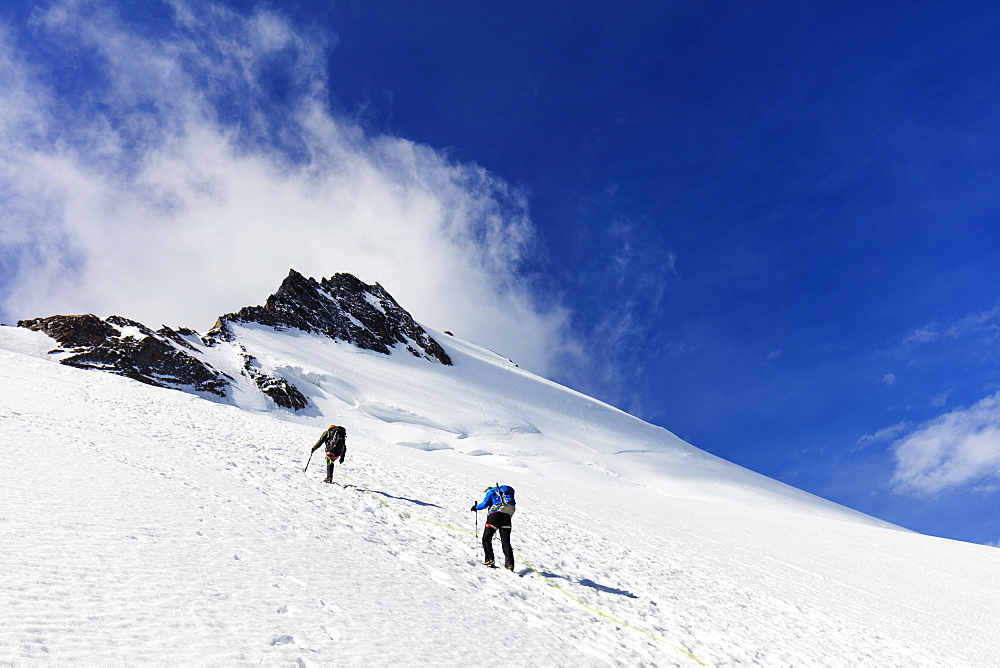 Climbers on the Dom 4535m, Zermatt, Valais, Swiss Alps, Switzerland, Europe