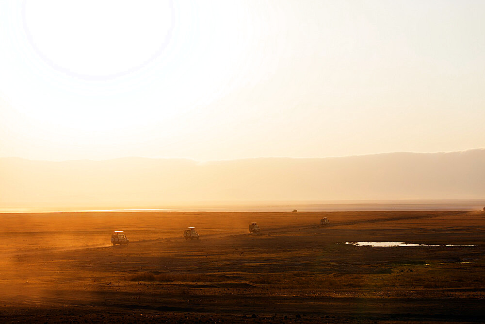 Tourist jeeps on safari at sunrise, Ngorongoro Crater Conservation Area, UNESCO World Heritage Site, Tanzania, East Africa, Africa