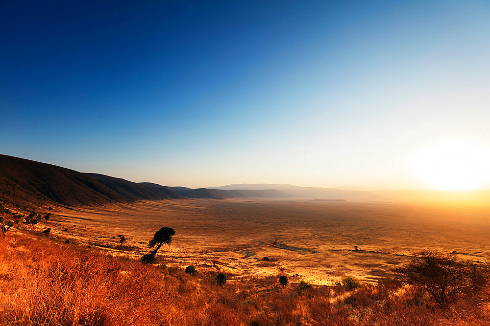 Sunrise, Ngorongoro Crater Conservation Area, UNESCO World Heritage Site, Tanzania, East Africa, Africa