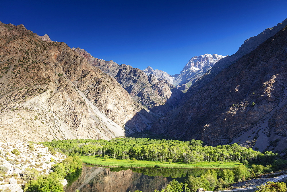 Oasis of trees below the mountains, Iskanderkul Lake, Fan Mountains, Tajikistan, Central Asia, Asia