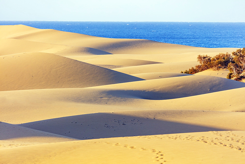 Dunes of Maspalomas Nature Reserve, Gran Canaria, Canary Islands, Spain, Atlantic, Europe