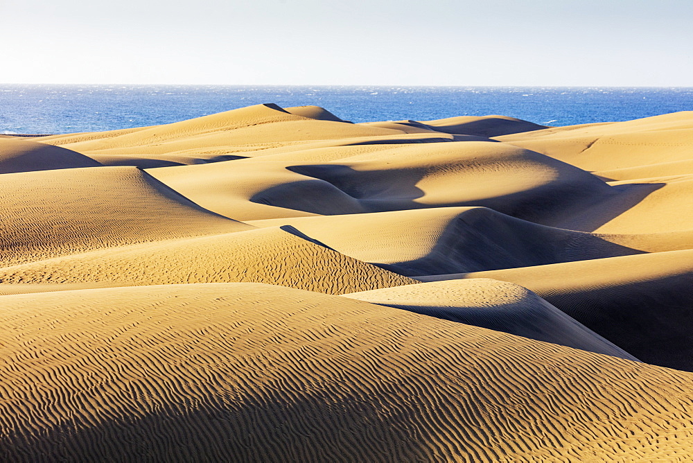 Dunes of Maspalomas Nature Reserve, Gran Canaria, Canary Islands, Spain, Atlantic, Europe