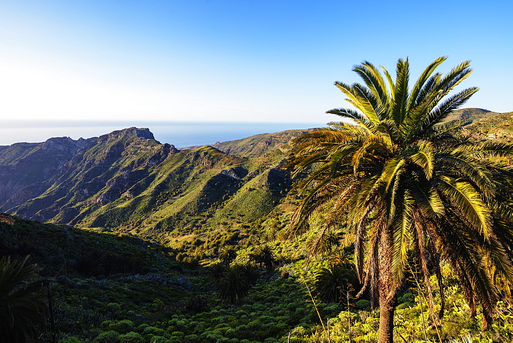 Garajonay National Park, UNESCO World Heritage Site, La Gomera, Canary Islands, Spain, Atlantic, Europe