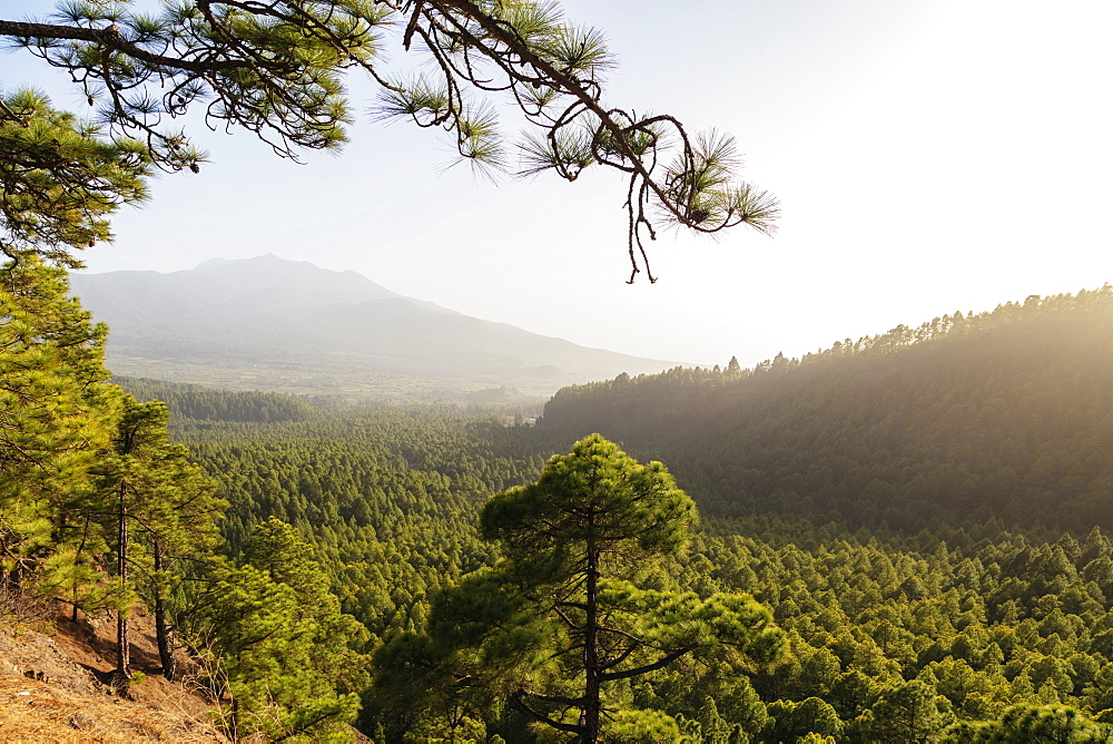 Caldera de Taburiente National Park, UNESCO Biosphere Site, La Palma, Canary Islands, Spain, Atlantic, Europe