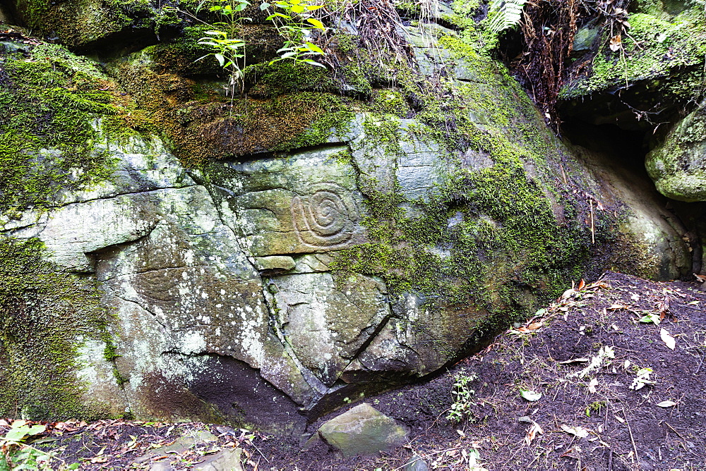 La Zarza petroglyphs, UNESCO Biosphere Site, La Palma, Canary Islands, Spain, Atlantic, Europe