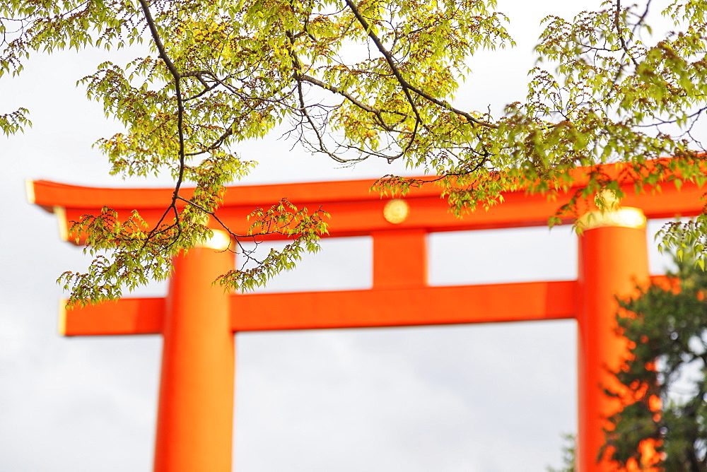 Torii gate at Heian Jingu Shinto shrine, Kyoto, Japan, Asia