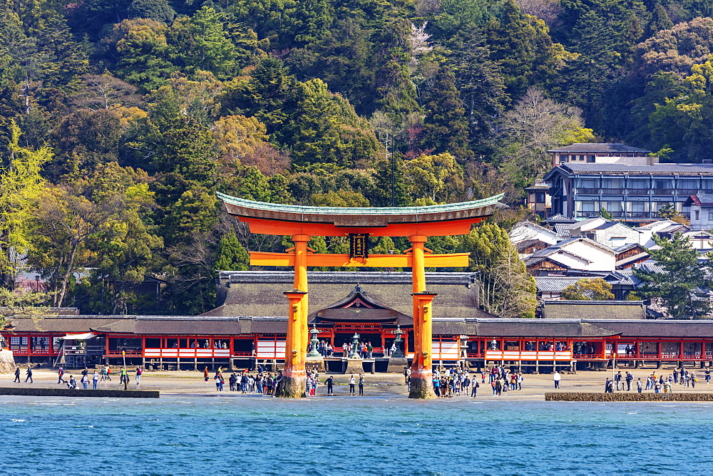 Floating torii gate of Itsukushima Jinja, UNESCO World Heritage Site, Miyajima Island, Hiroshima Prefecture, Honshu, Japan, Asia