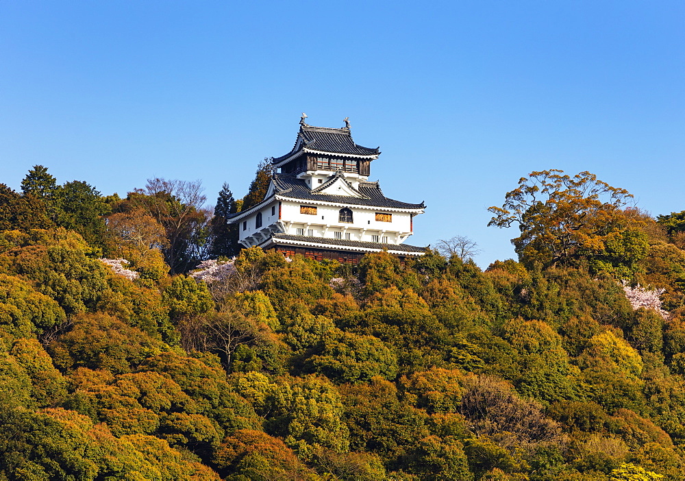 Iwakuni Castle, Iwakuni, Yamaguchi Prefecture, Honshu, Japan, Asia