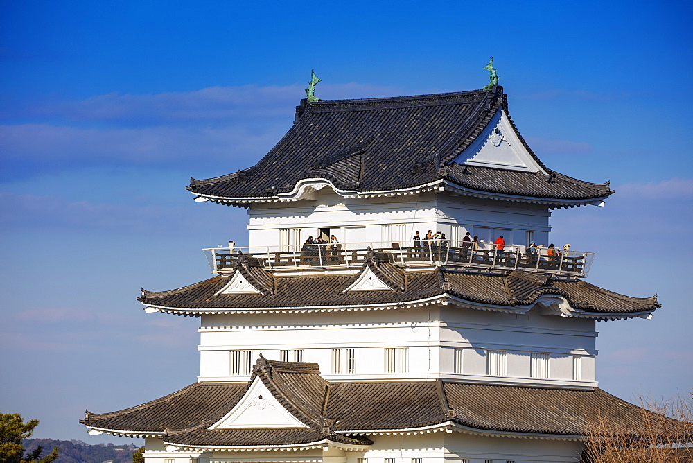 Odawara Castle, Odawara, Kanagawa Prefecture, Honshu, Japan, Asia