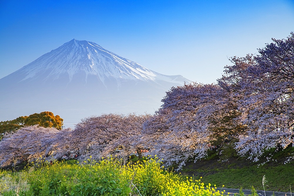 Mount Fuji, 3776m, UNESCO World Heritage Site, Shizuoka Prefecture, Honshu, Japan, Asia