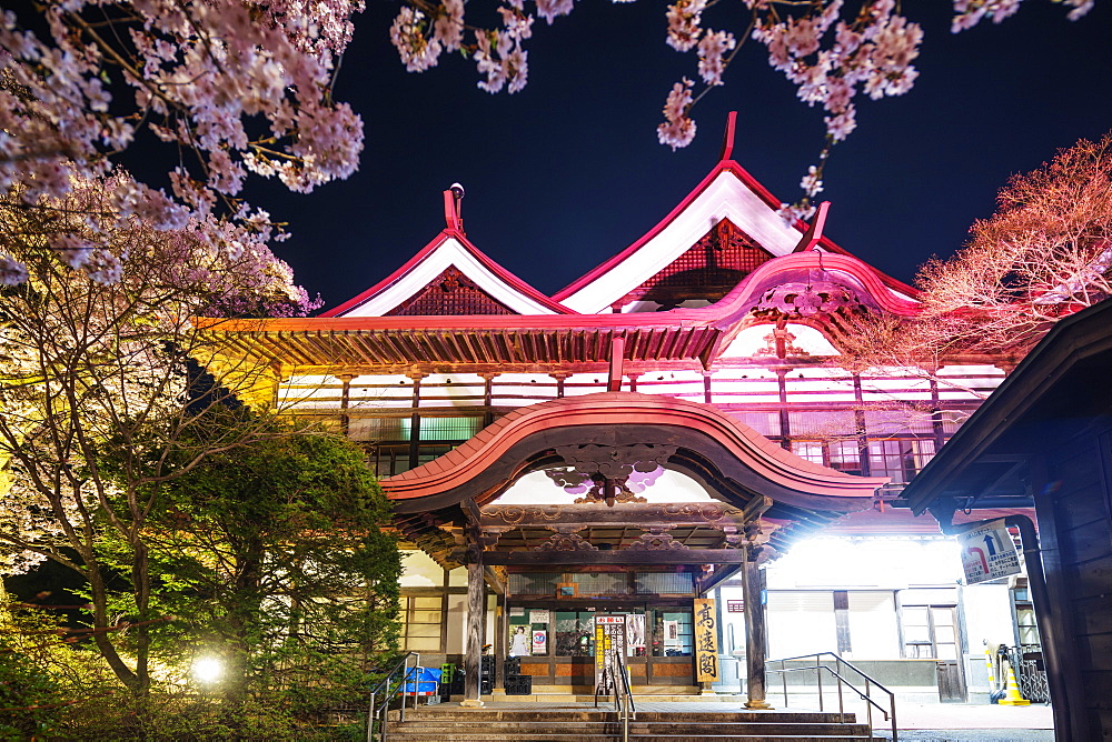 Cherry blossom at Takato Castle, Takato, Nagano Prefecture, Honshu, Japan, Asia