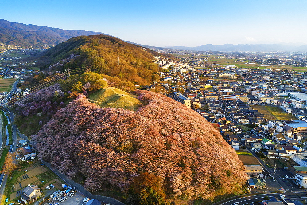 Cherry blossom at Koboyama, Matsumoto, Nagano Prefecture, Honshu, Japan, Asia