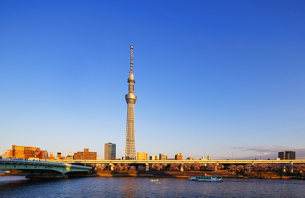 Tokyo Sky Tree Tower, Asakusa, Tokyo, Japan, Asia