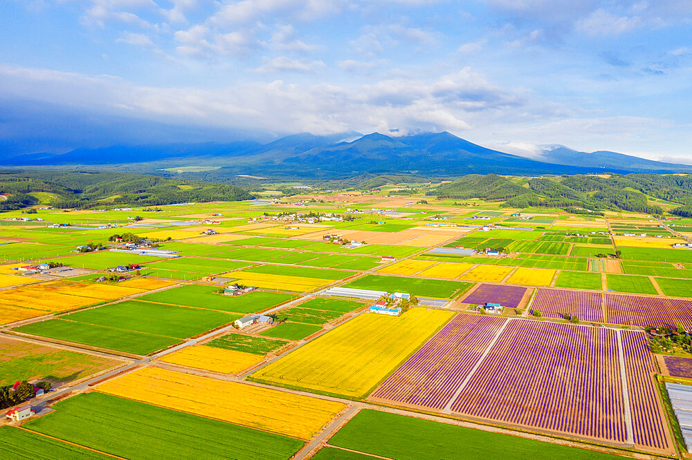 Aerial view of farmland, Furano, Hokkaido, Japan, Asia