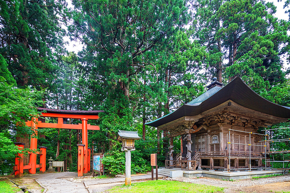 Torii gate on Mount Haguro, Dewa Sanzan Hagurosan temple, Yamagata Prefecture, Honshu, Japan, Asia