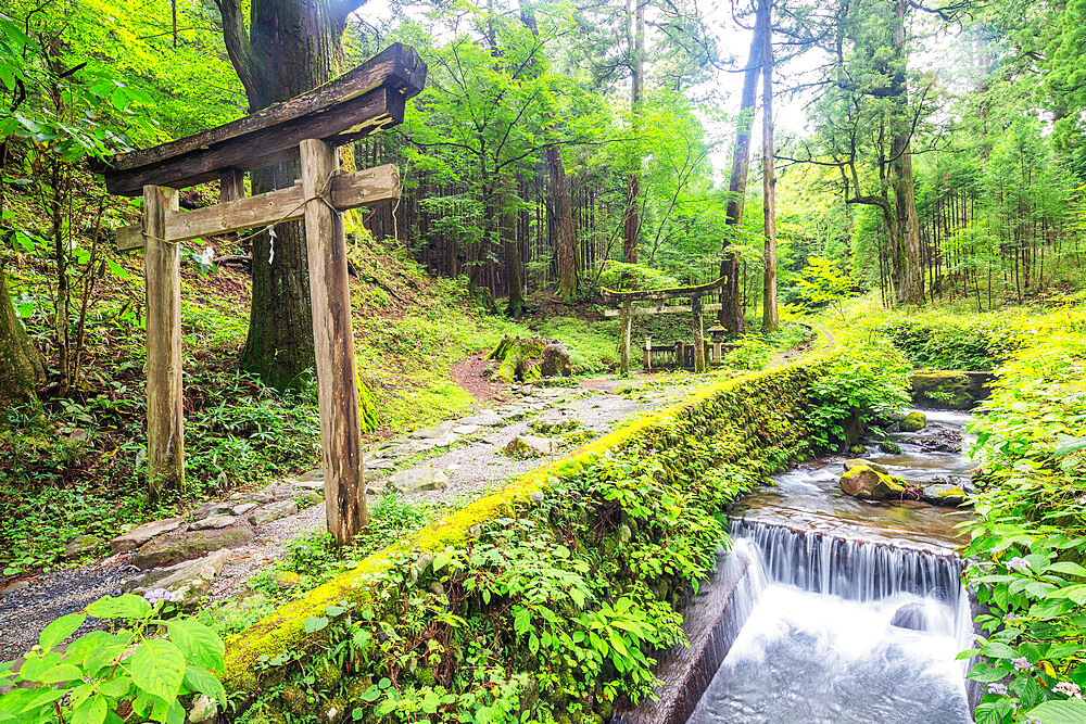 Kitano Shrine torii gate, Nikko, UNESCO World Heritage Site, Tochigi prefecture, Honshu, Japan, Asia