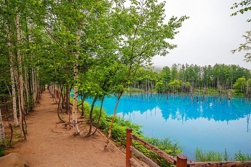 Blue Lake, Shirogane Onsen, Hokkaido, Japan, Asia