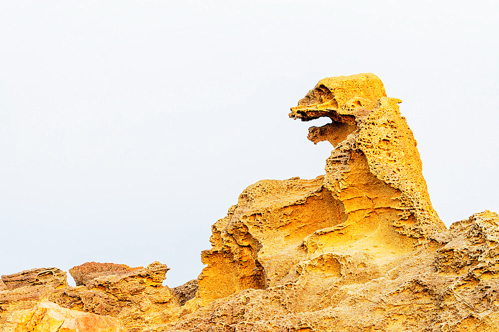 Godzilla Rock, Tohoku, Akita prefecture, Honshu, Japan, Asia