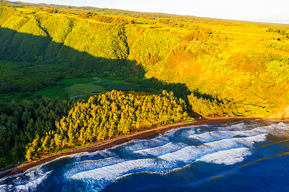 Aerial view of north shore, Pololu Valley, Big Island, Hawaii, United States of America, North America