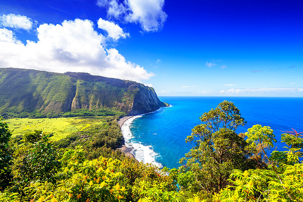 Waipio valley north shore, Big Island, Hawaii, United States of America, North America