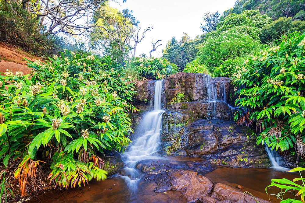 Waterfall, Waimea Canyon State Park, Kauai Island, Hawaii, United States of America, North America