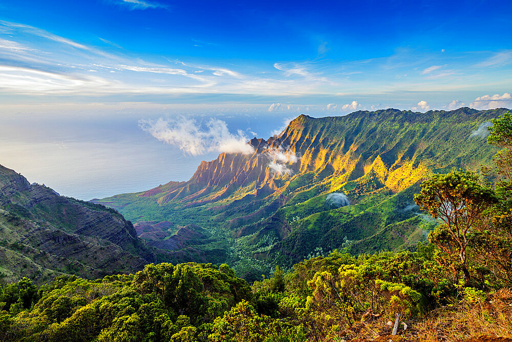 Pali sea cliffs at Kalalau lookout, Napali coast, Kokee State Park, Kauai Island, Hawaii, United States of America, North America