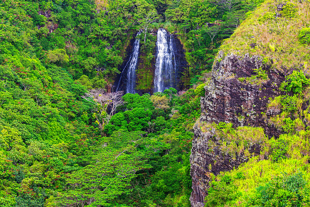 Wailua River, Opaekaa Falls, Kauai Island, Hawaii, United States of America, North America