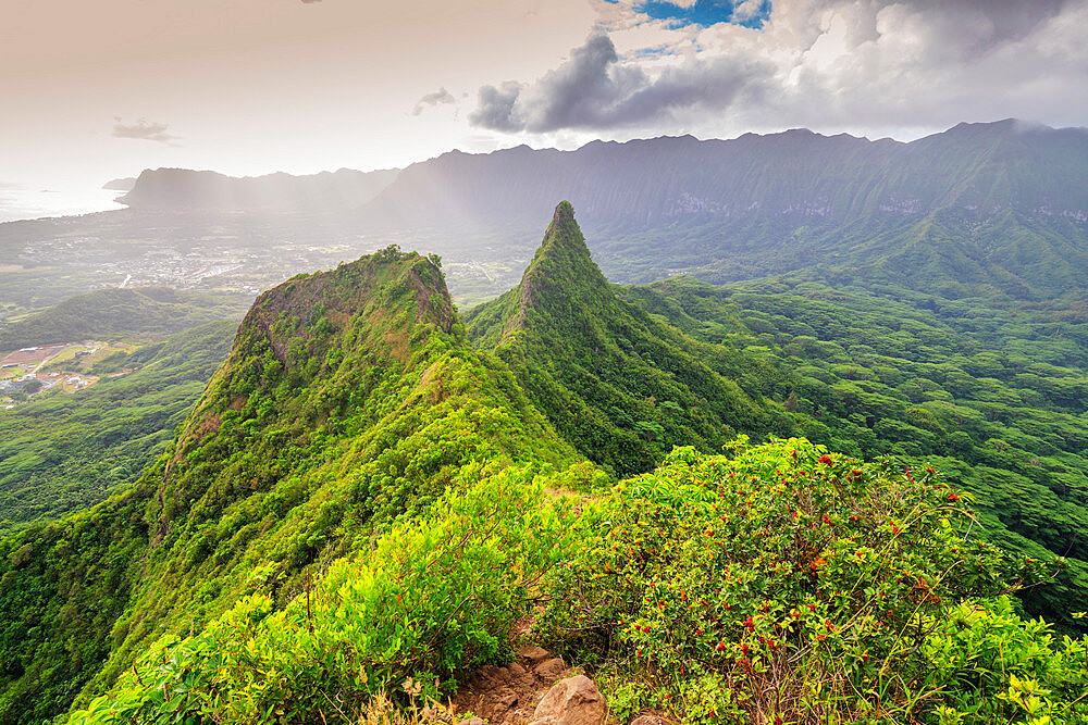 Three Peaks trail, Oahu Island, Hawaii, United States of America, North America