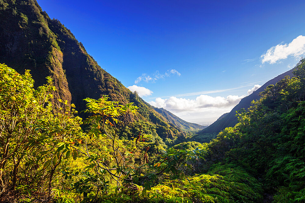 Iao Needle State Park, Maui Island, Hawaii, United States of America, North America