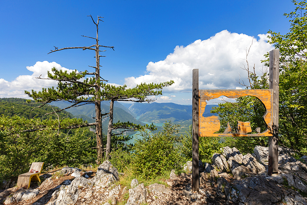 Banjska Stena viewpoint, Tara National Park, Serbia, Europe