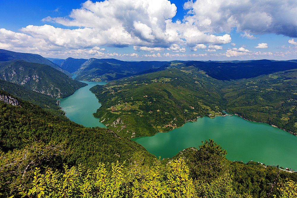 Banjska Stena viewpoint, Tara National Park, Serbia, Europe